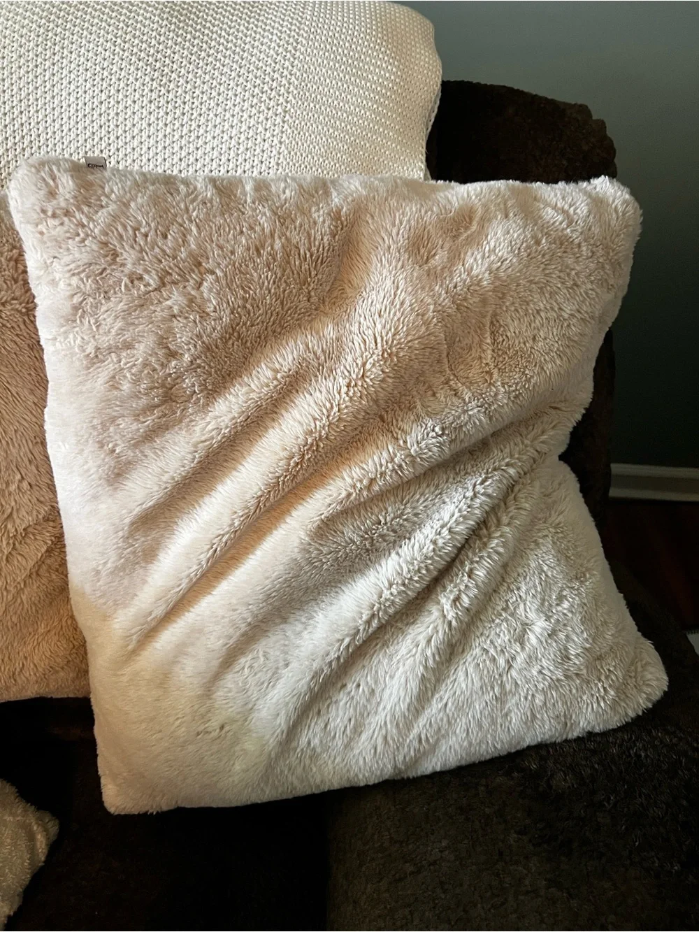Plush Cream Decorative Throw Pillow Set - Soft Texture